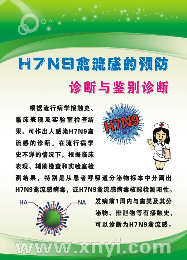 H7N9禽流感挂图