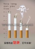 吸烟有害健康挂图(XY类)
