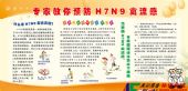 H7N9禽流感宣传栏_(H7N9类)