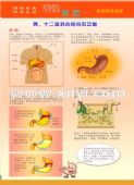 预防胃病科普系列挂图-（YF2类）